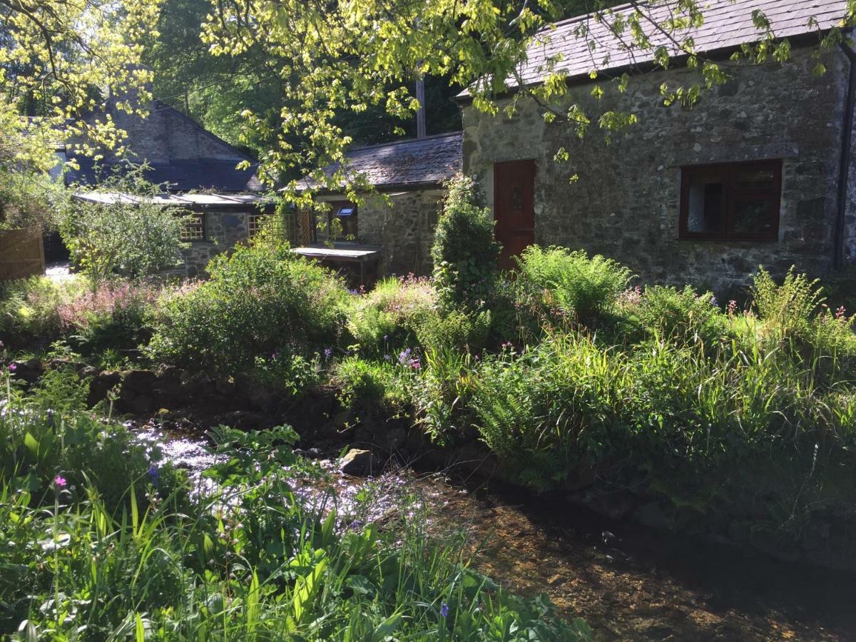Homer Farm Marytavy Luaran gambar