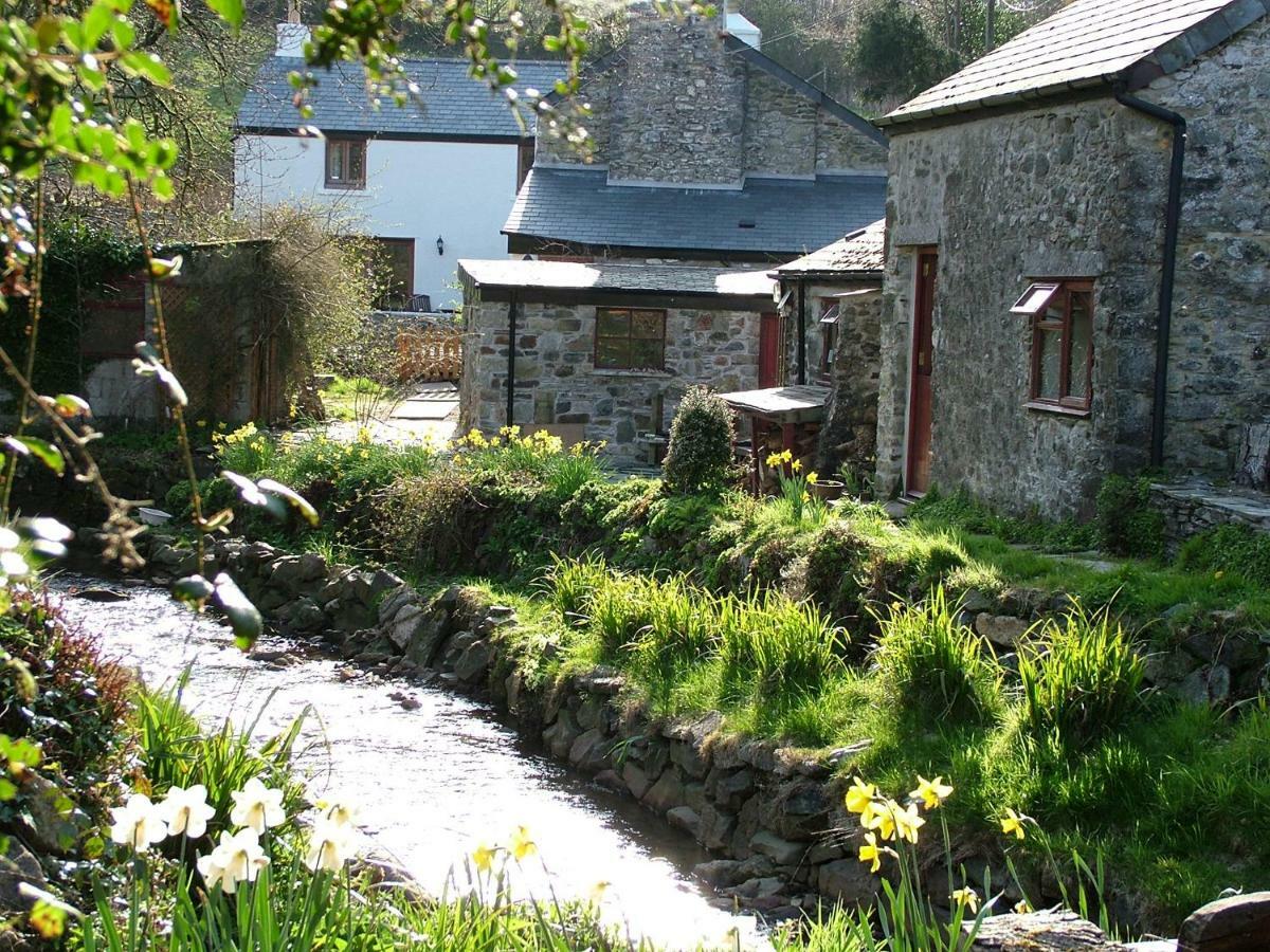 Homer Farm Marytavy Luaran gambar